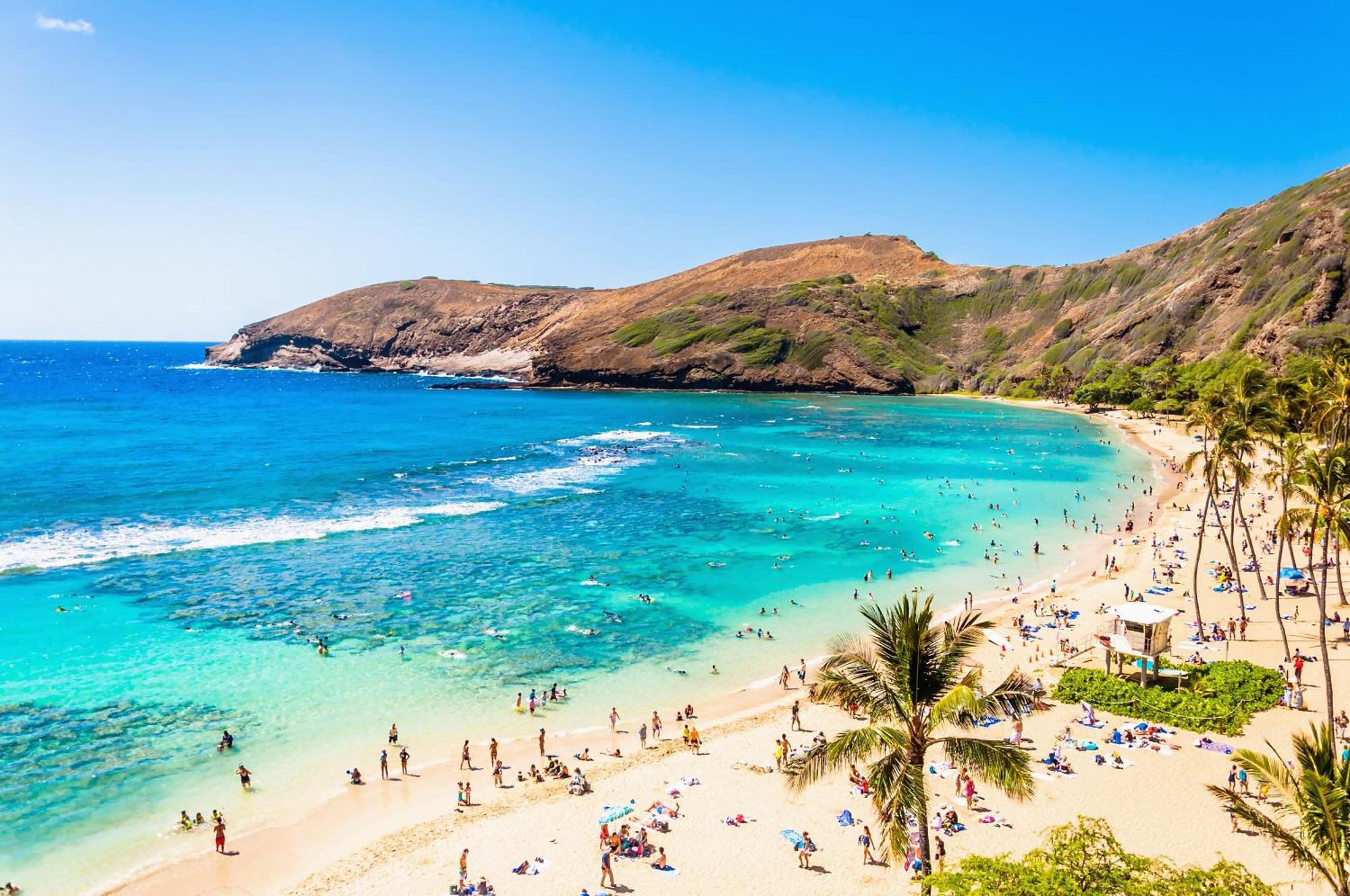 Renovated With City View At Aqua Palms Waikiki 檀香山 外观 照片