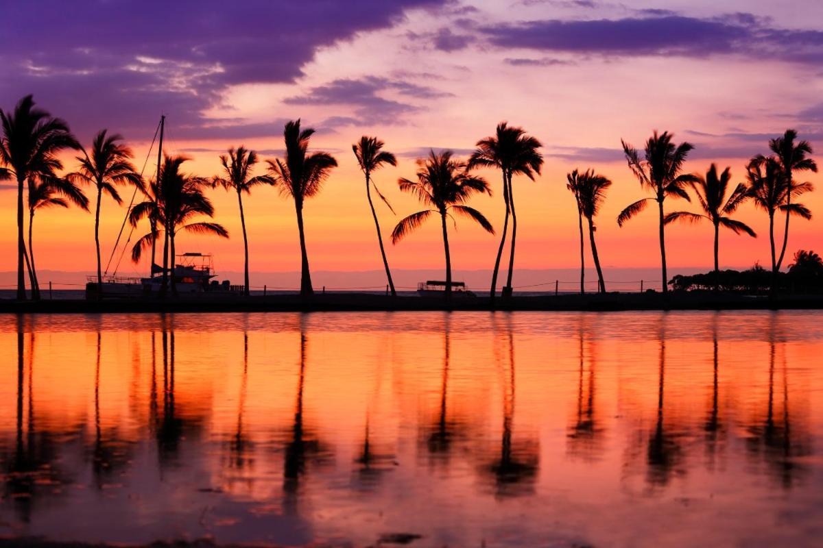 Renovated With City View At Aqua Palms Waikiki 檀香山 外观 照片